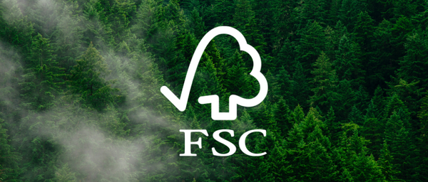FSC® Friday, la giornata per la gestione sostenibile delle foreste